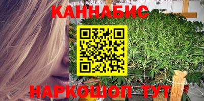 крисы Кингисепп