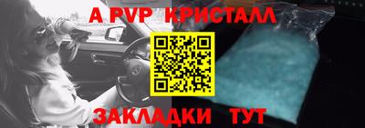 стаф Кандалакша