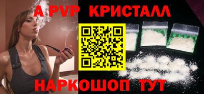 крисы Кингисепп