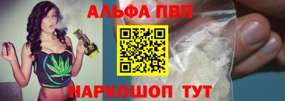 стаф Кандалакша