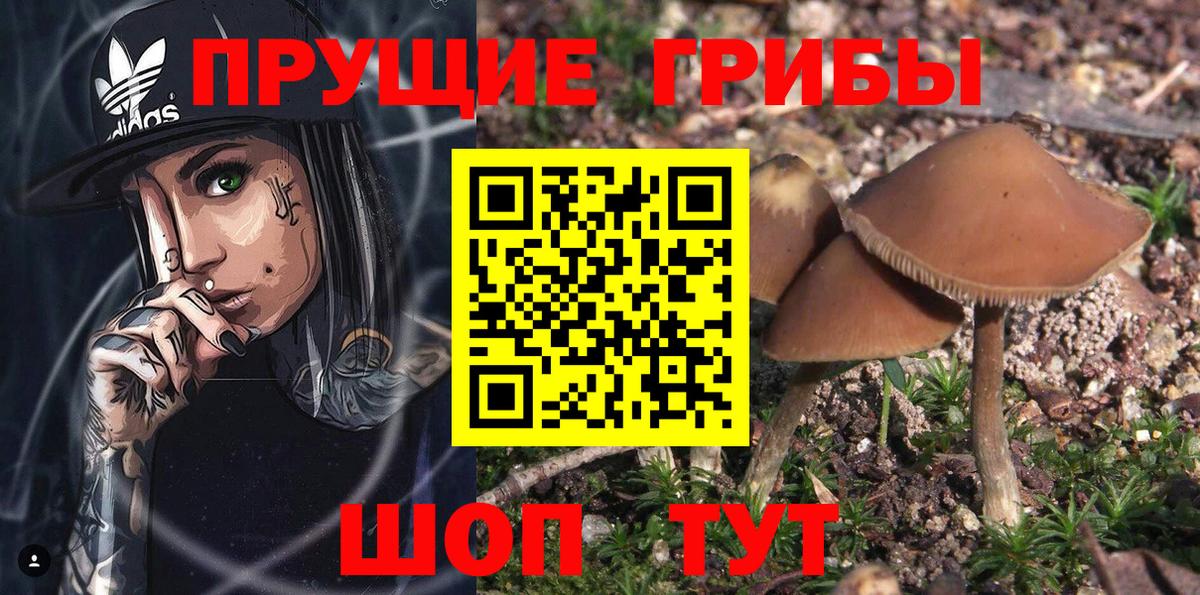 Галлюциногенные грибы GOLDEN TEACHER Бутурлиновка