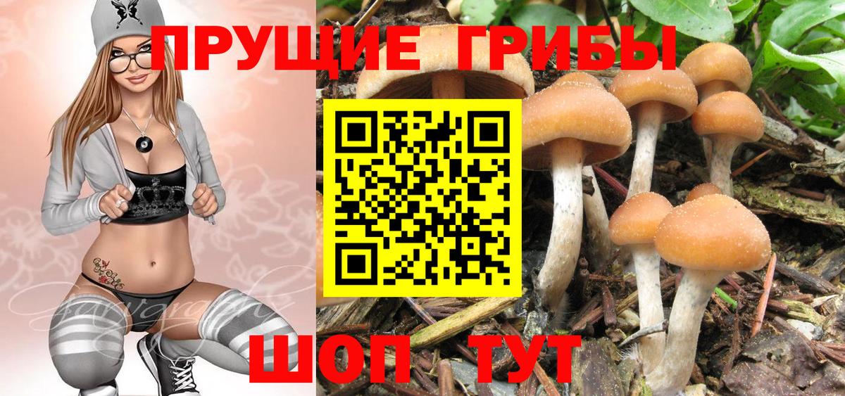Псилоцибиновые грибы GOLDEN TEACHER  Вход с VPN  Бутурлиновка 